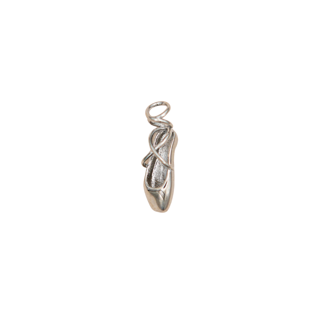 Dancing Pointe Ballet Shoe