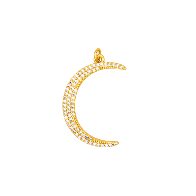 Crescent Moon Charm
