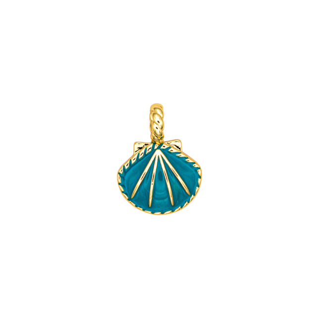 Enamel Sea Shell